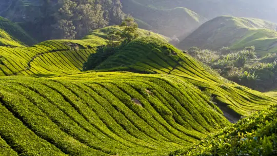 Malaysia